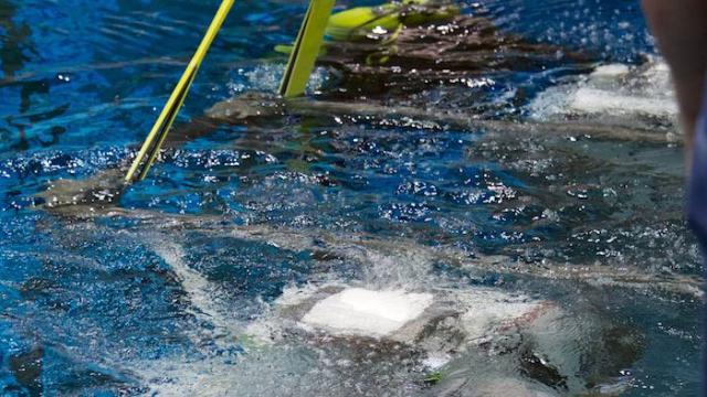 samaze_023-579 samaze_023-579