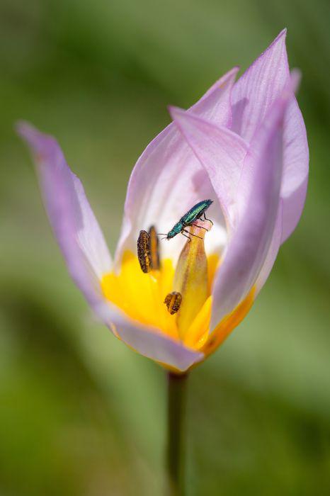 samaze_016-837 samaze_016-837