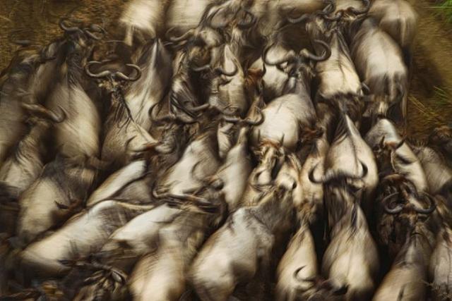 samaze_037-478 samaze_037-478