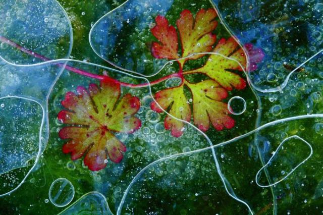 samaze_053-317 samaze_053-317