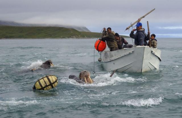 samaze_071-249 samaze_071-249