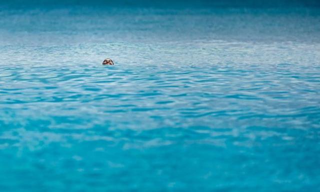 samaze_076-234 samaze_076-234