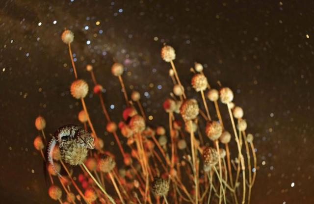 samaze_078-229 samaze_078-229