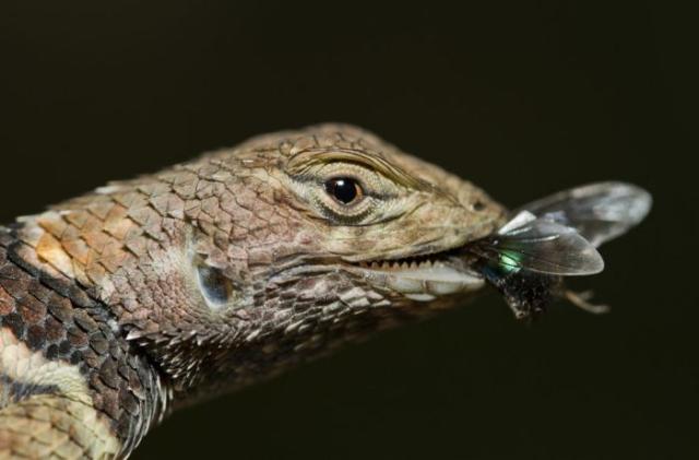 samaze_082-220 samaze_082-220