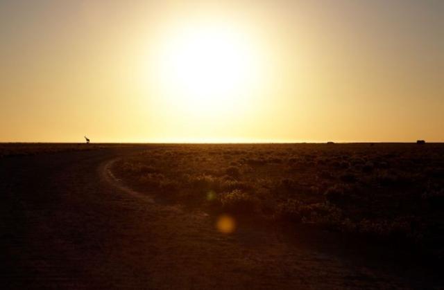 samaze_083-218 samaze_083-218