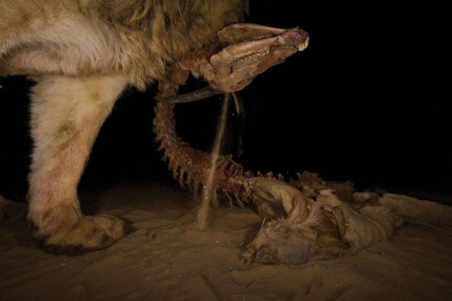 samaze_086-213 samaze_086-213