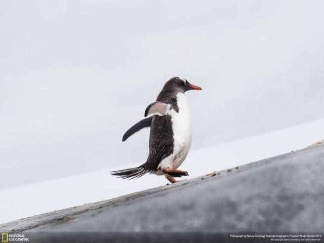 samaze_089-206 samaze_089-206