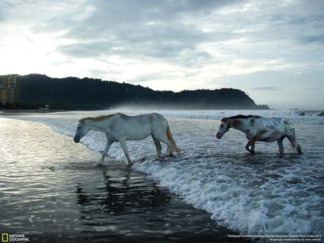 samaze_090-203 samaze_090-203