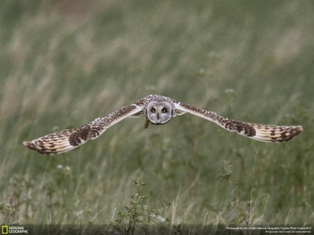 samaze_098-183 samaze_098-183