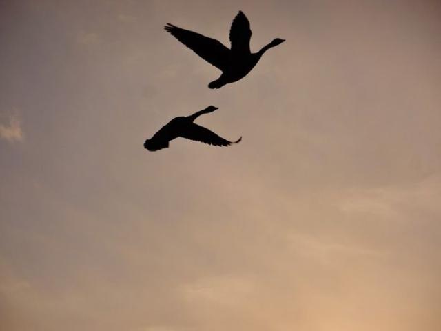 samaze_001-1310 samaze_001-1310