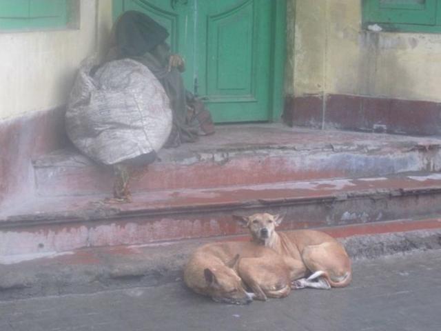 samaze_012-1222 samaze_012-1222