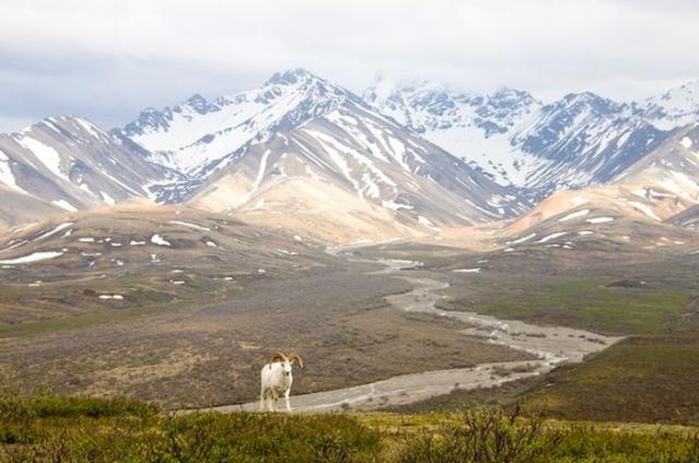 samaze_027-831 samaze_027-831