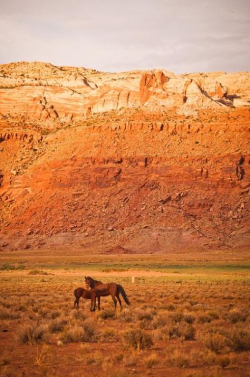 samaze_038-632 samaze_038-632