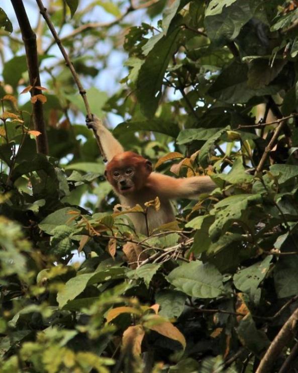 samaze_042-558 samaze_042-558