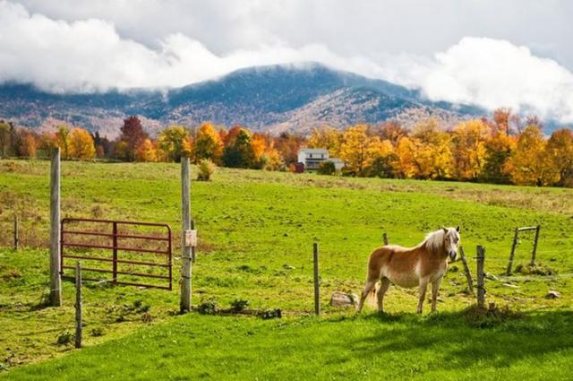 samaze_043-547 samaze_043-547