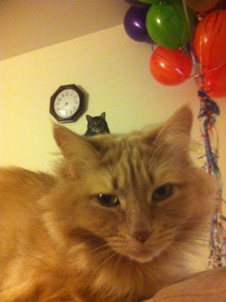 photobombinggoldenglobes_023 photobombinggoldenglobes_023