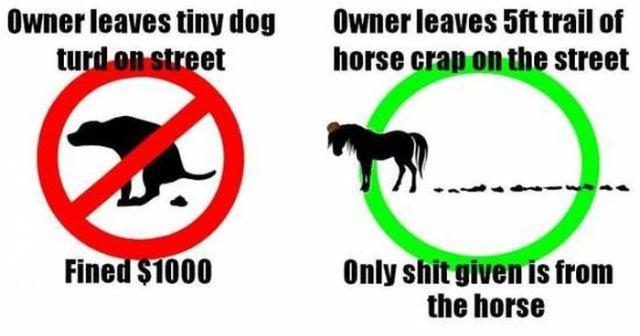 samaze_110-52 samaze_110-52