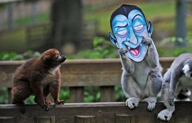 solent-news solent-news