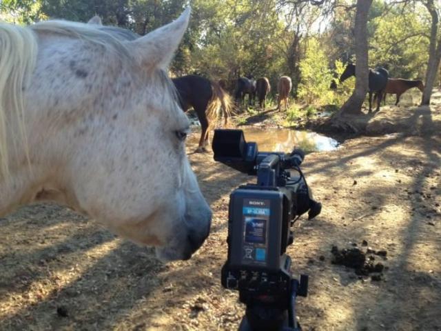 samaze_137-29 samaze_137-29