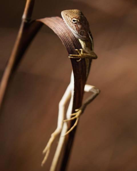 robertirwinanimals_027 robertirwinanimals_027