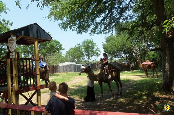 samaze_02-37 samaze_02-37