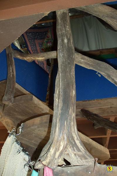 samaze_25-22 samaze_25-22