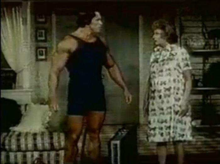 schwarzeneggercareer_003 schwarzeneggercareer_003