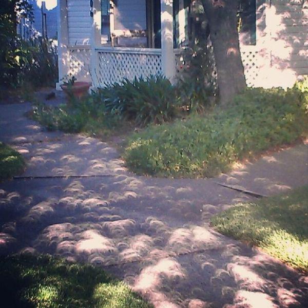 samaze_017-180 samaze_017-180