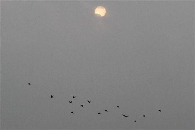 samaze_019-170 samaze_019-170