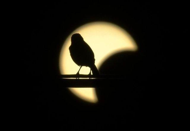 samaze_042-77 samaze_042-77