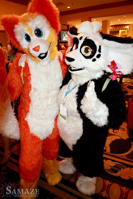 samaze_136-73 samaze_136-73