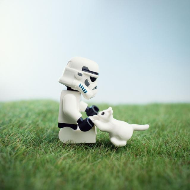 samaze_010-1557 samaze_010-1557