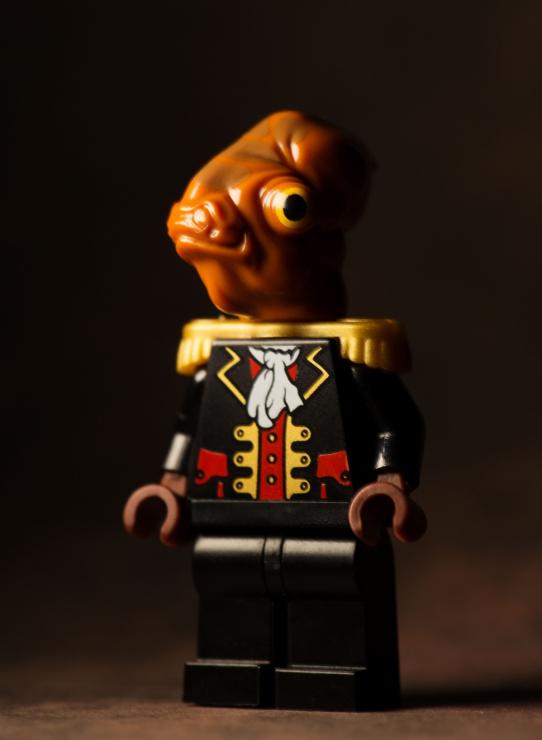 samaze_017-1345 samaze_017-1345