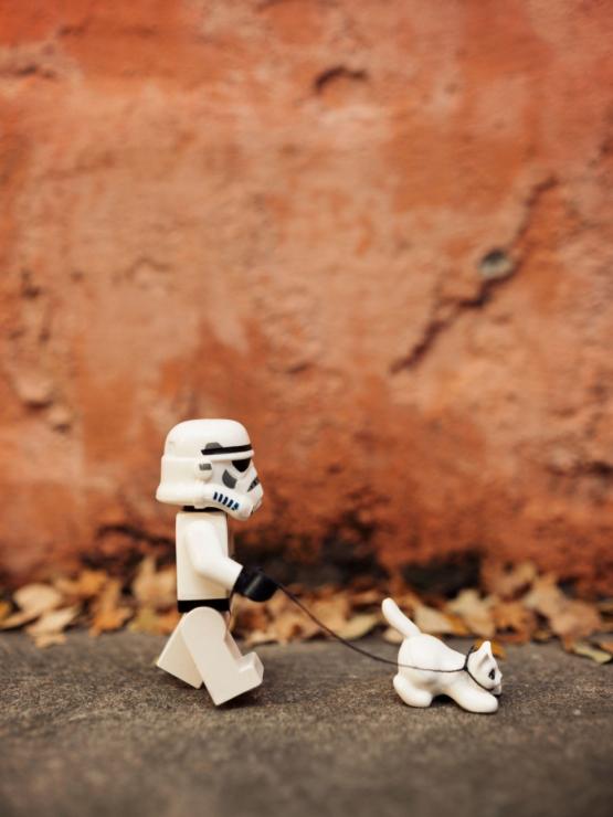 samaze_019-1299 samaze_019-1299