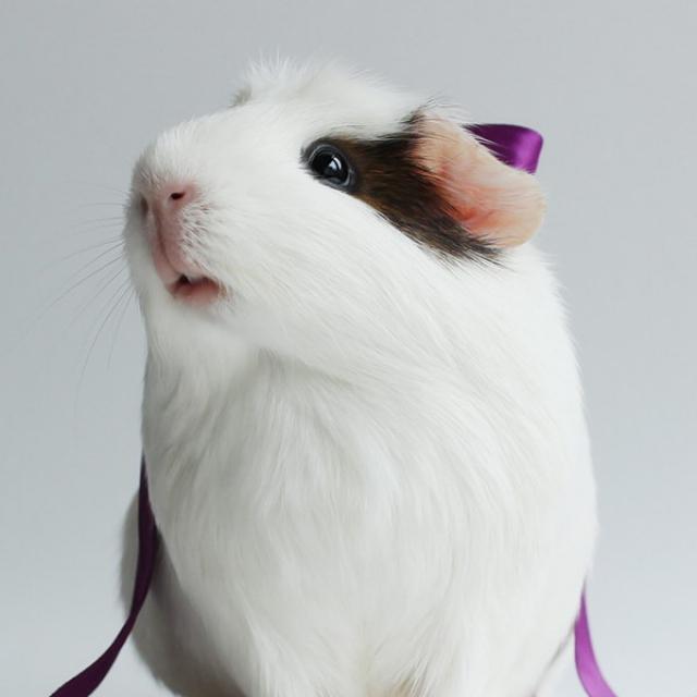 samaze_002-1367 samaze_002-1367