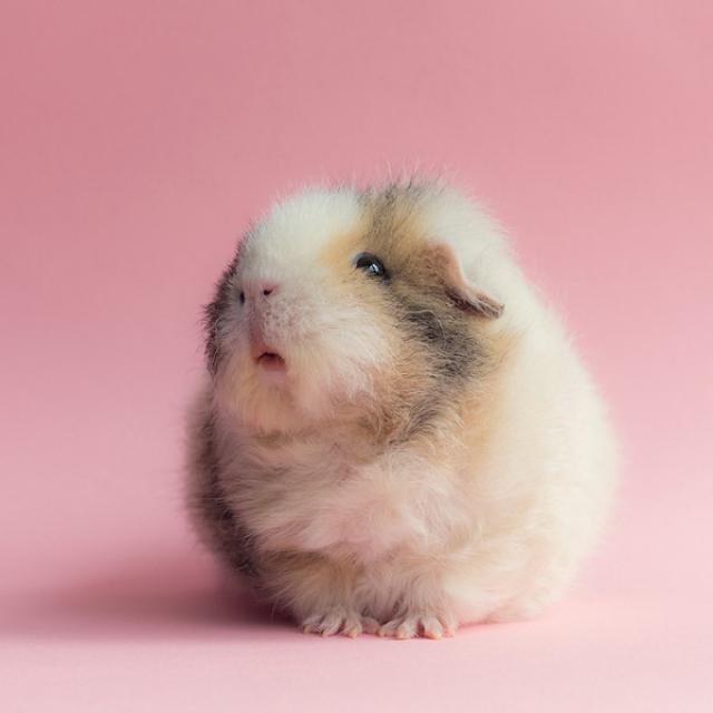 samaze_003-1374 samaze_003-1374