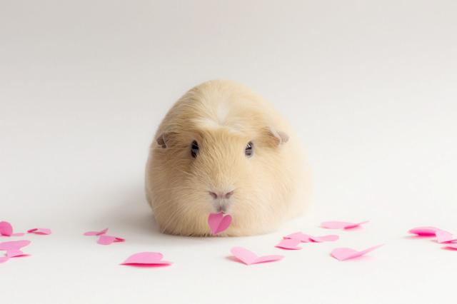 samaze_006-1367 samaze_006-1367