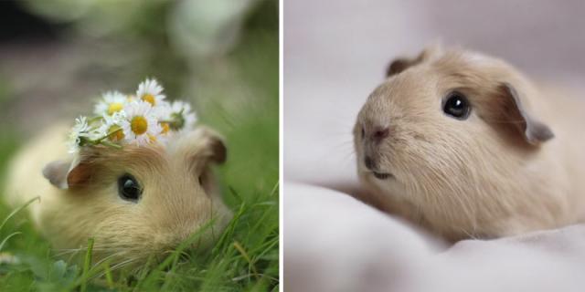 samaze_011-1290 samaze_011-1290