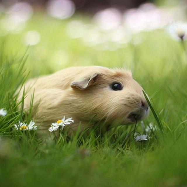 samaze_016-1162 samaze_016-1162