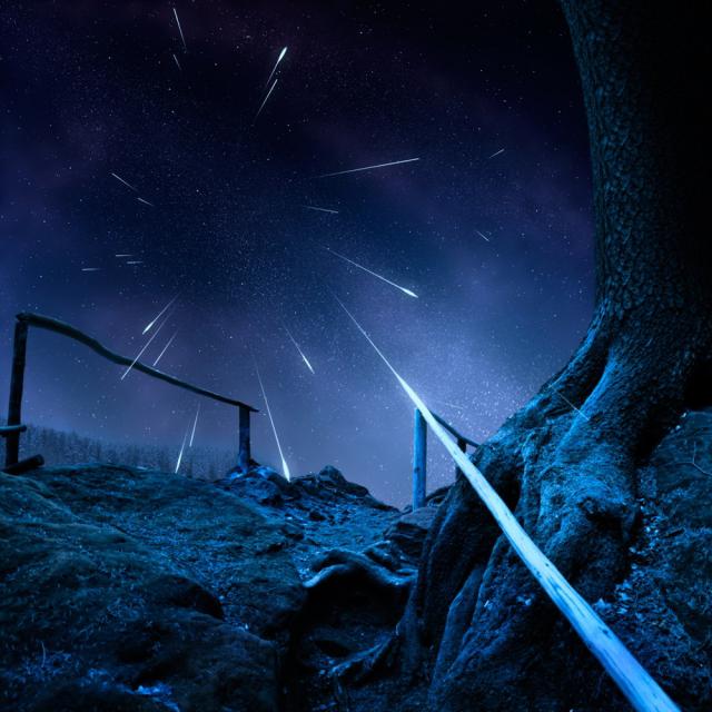 samaze_036-692 samaze_036-692