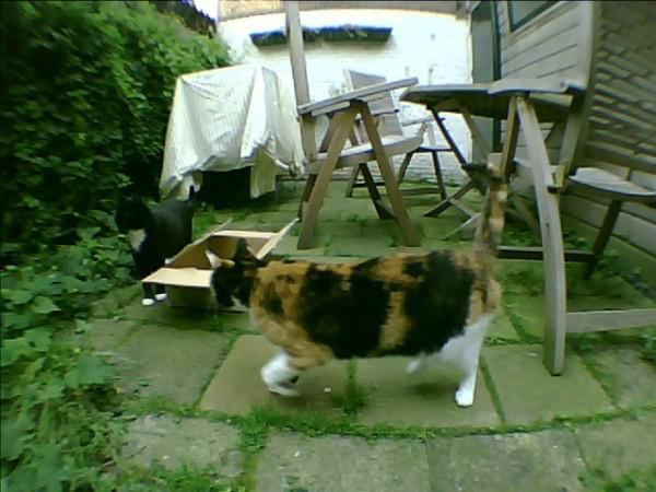 samaze_009-85 samaze_009-85