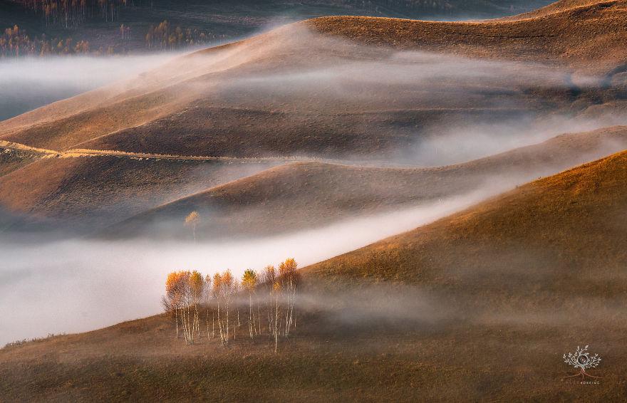 translyvania_004 translyvania_004