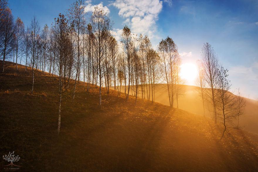 translyvania_006 translyvania_006