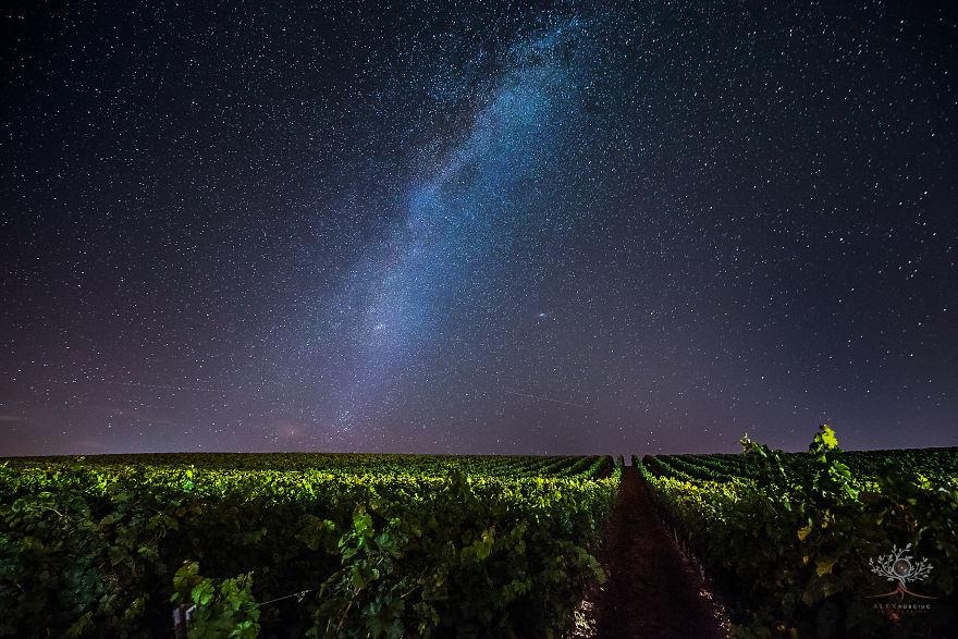 translyvania_008 translyvania_008