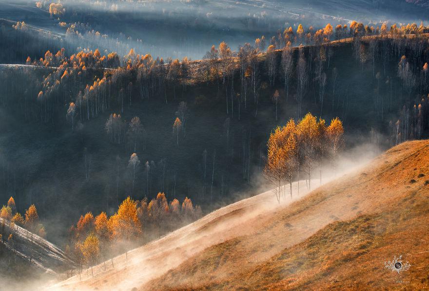 translyvania_012 translyvania_012