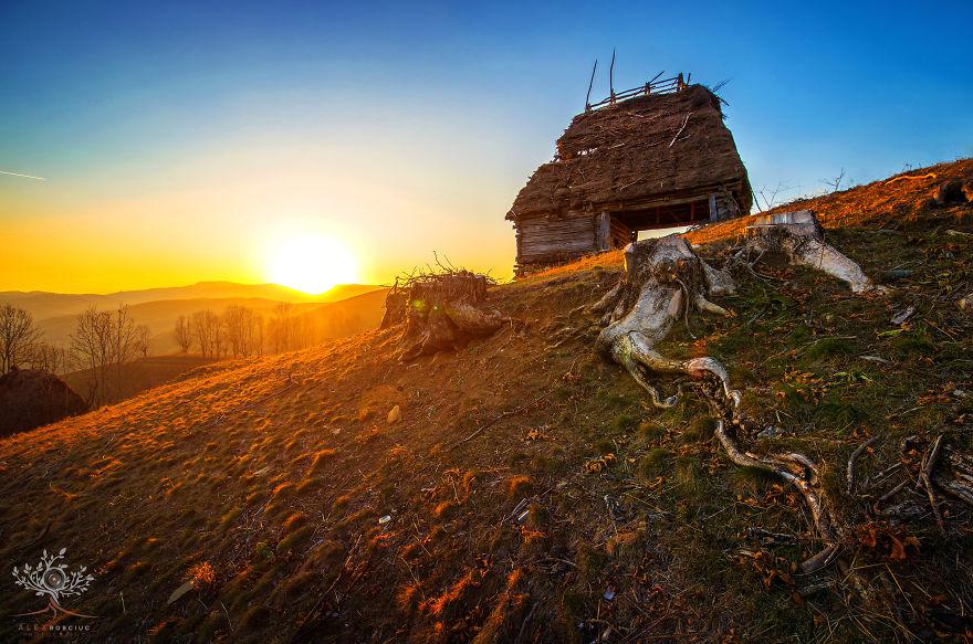 translyvania_013 translyvania_013