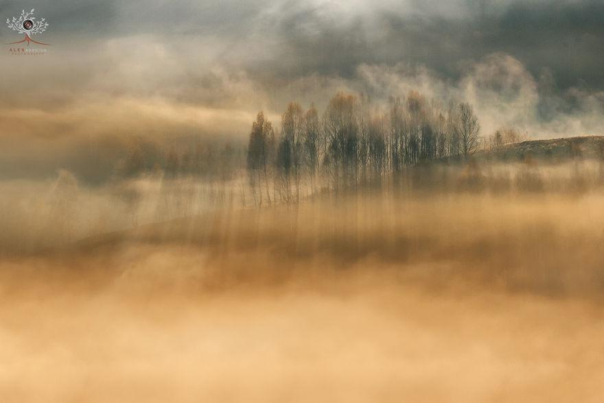 translyvania_015 translyvania_015