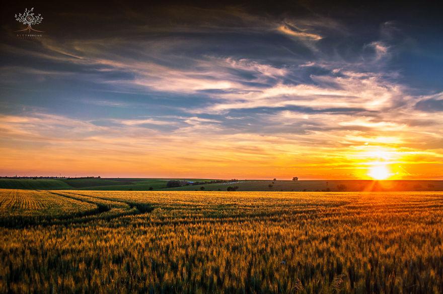 translyvania_021 translyvania_021