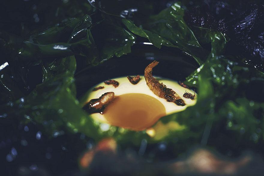 underwaterrestaurant_007 underwaterrestaurant_007