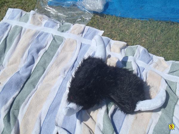 samaze_20-13 samaze_20-13